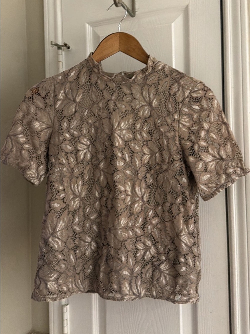 H&M Metallic Taupe Floral Lace Short-Sleeve Blouse